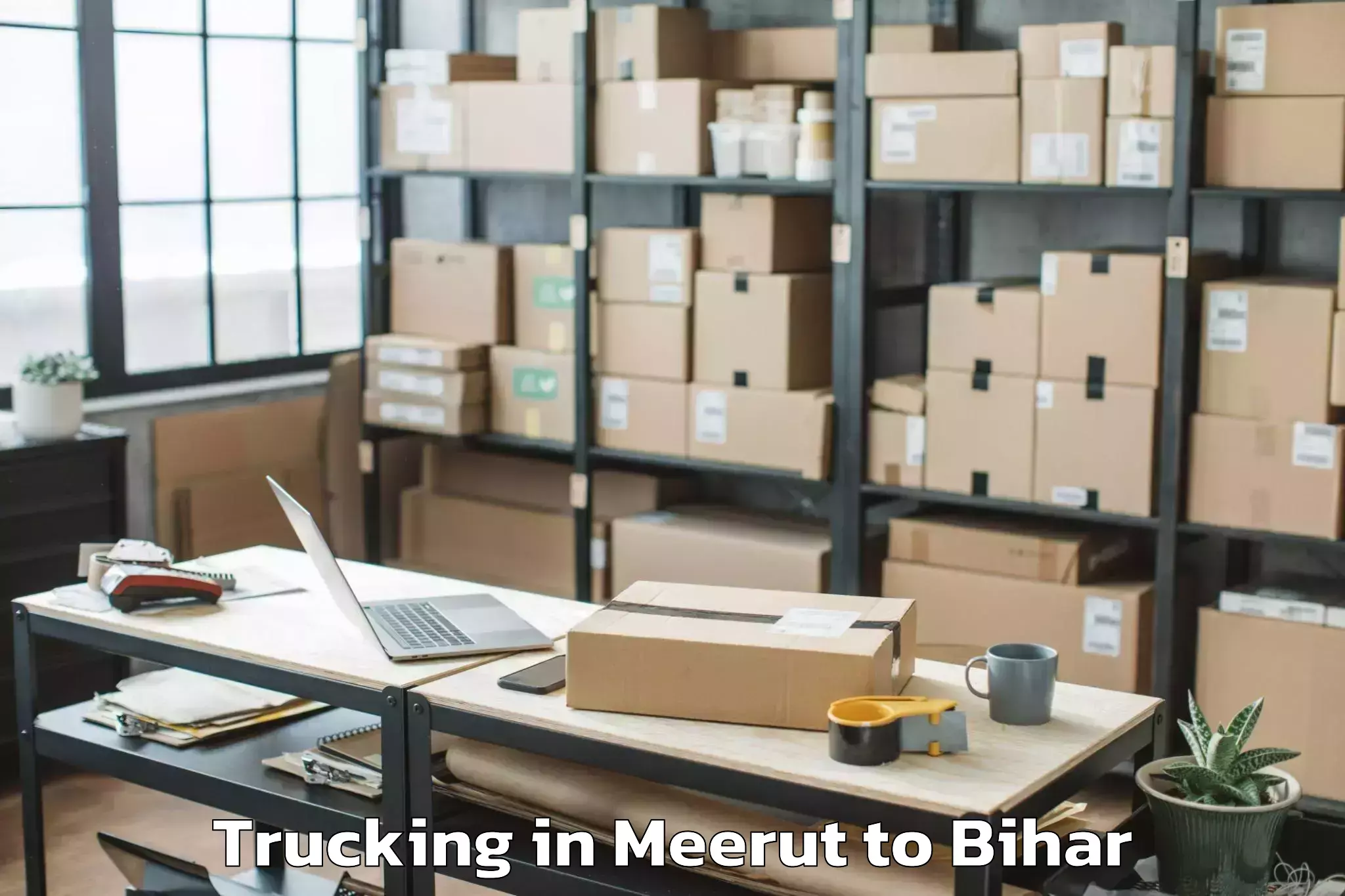 Book Meerut to Puraini Trucking Online